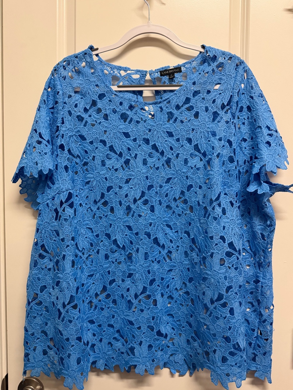 Lane Bryant Bright Blue Floral Lace Tunic Top